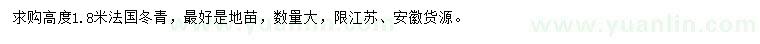 求購高度1.8米法國冬青