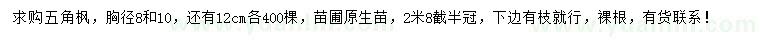 求購(gòu)8、10、12公分五角楓