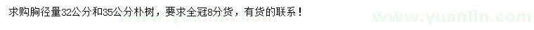 求購胸徑量32、35公分樸樹