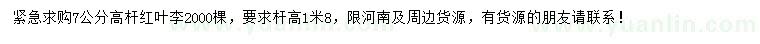 求購(gòu)7公分高桿紅葉李