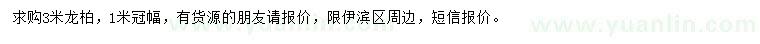 求購3米龍柏