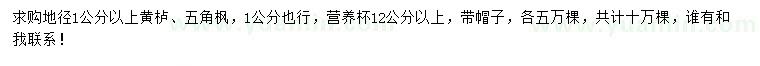 求購(gòu)地徑1公分以上黃櫨、五角楓
