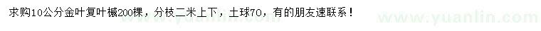 求購10公分金葉復葉槭