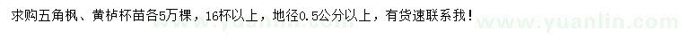 求購地徑0.5公分以上五角楓、黃櫨