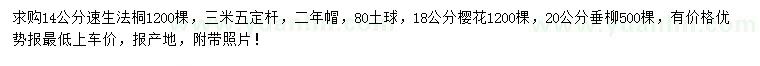 求購(gòu)速生法桐、櫻花、垂柳