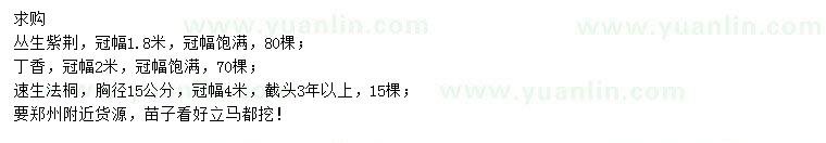 求購(gòu)叢生紫荊、丁香、速生法桐