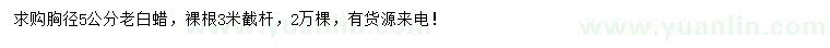 求購胸徑5公分老白蠟