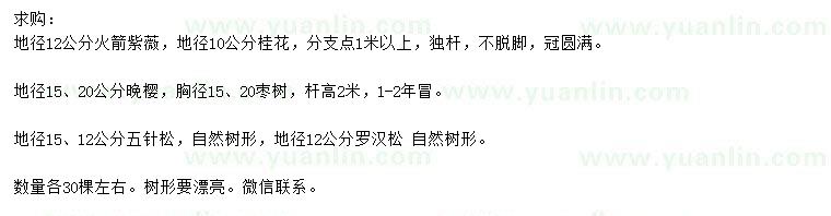 求購火箭紫薇、桂花、棗樹等