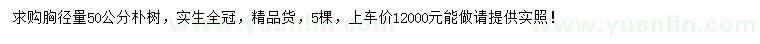 求購胸徑量50公分樸樹