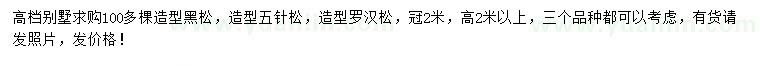 求購(gòu)造型黑松、造型五針?biāo)?、造型羅漢松