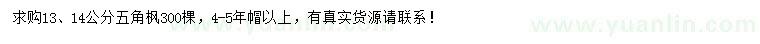 求購(gòu)13、14公分五角楓