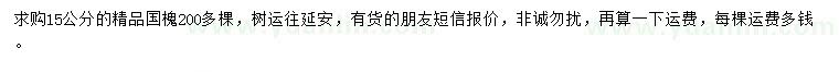 求購15公分國槐