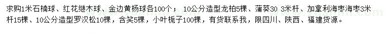 求購(gòu)石楠球、繼木球、金邊黃楊球等