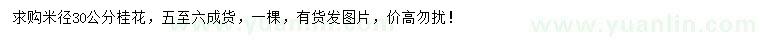 求購米徑30公分桂花