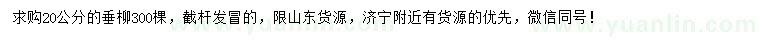 求購20公分垂柳