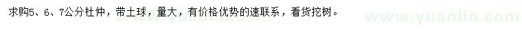 求購5、6、7公分杜仲