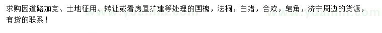 求購國槐、法桐、白蠟等