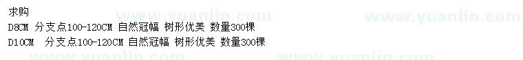 求購地徑8、10公分晚櫻