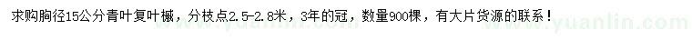 求購胸徑15公分青葉復葉槭
