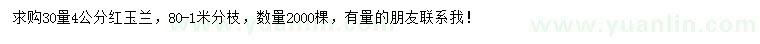 求購30量4公分紅玉蘭