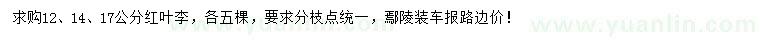 求購12、14、17公分紅葉李