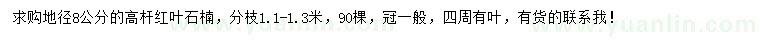 求購地徑8公分高桿紅葉石楠