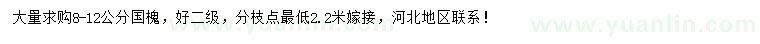 求購8-12公分國槐