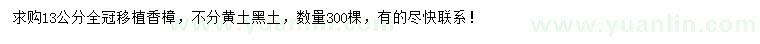 求購13公分香樟