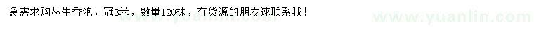 求購冠3米叢生香泡