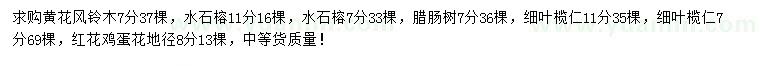 求購黃花風鈴木、水石榕、臘腸樹等