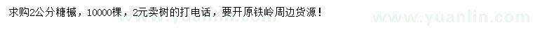 求購2公分糖槭