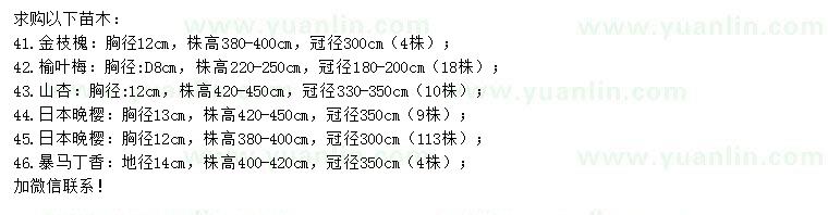 求購金枝槐、榆葉梅、山杏等