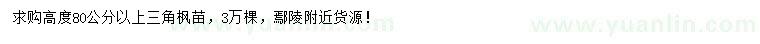 求購高度80公分以上三角楓