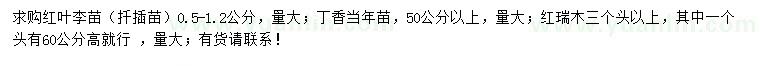 求購紅葉李、丁香、紅瑞木