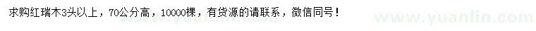 求購高度70公分以上紅瑞木