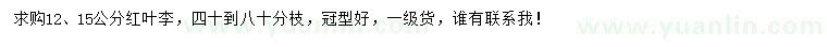 求購12、15公分紅葉李
