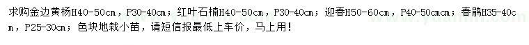 求購金邊黃楊、紅葉石楠、迎春等