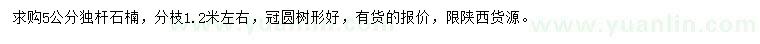 求購(gòu)5公分獨(dú)桿石楠