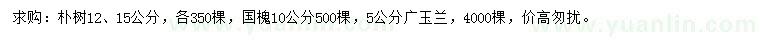 求購樸樹、國槐、廣玉蘭