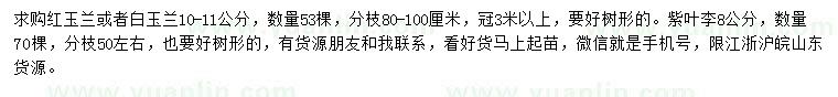 求購紅玉蘭、白玉蘭、紫葉李