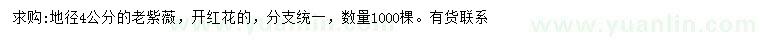 求購地徑4公分老紫薇