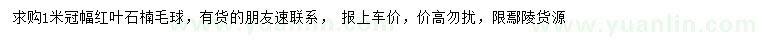 求購冠幅1米紅葉石楠球