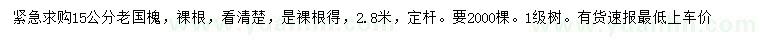 求購15公分老國槐