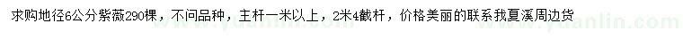 求購(gòu)地徑6公分紫薇