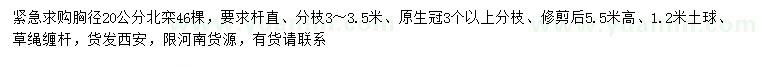 求購胸徑20公分北欒