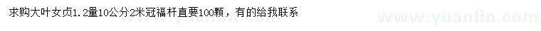 求購1.2米量10公分大葉女貞
