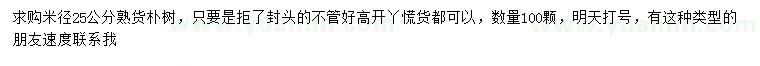 求購米徑25公分樸樹