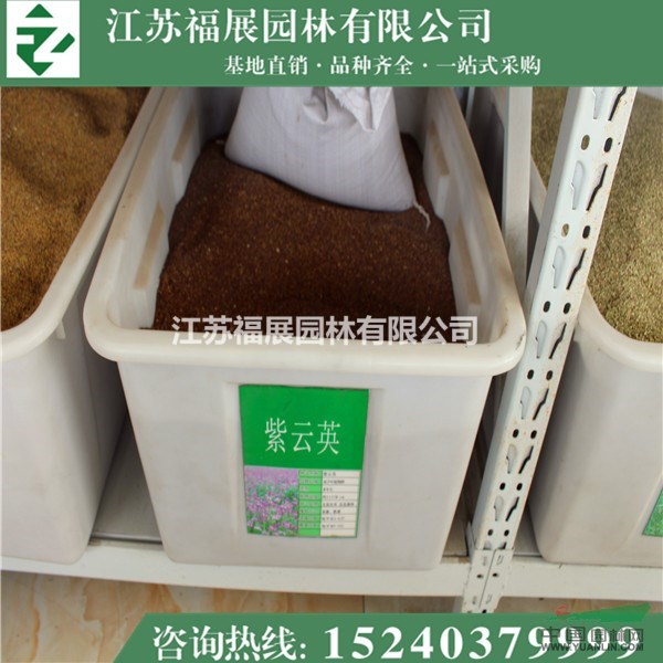 紫云英別稱翹搖、紅花草、草子等  紫云英種子價(jià)格 紫云英照片