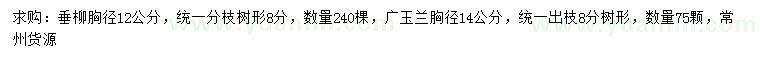 求購高35、40公分紅葉石楠