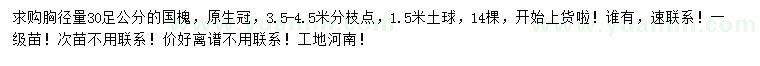 求購(gòu)胸徑30公分國(guó)槐